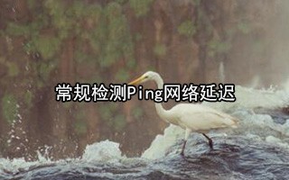 拼多多域名多少钱？2023最新域名价格解析