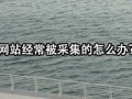 1g DDoS攻击的成本与影响，你可能不知道的真相
