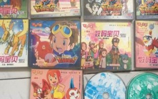 独享机与虚拟机，技术解析与实践探讨