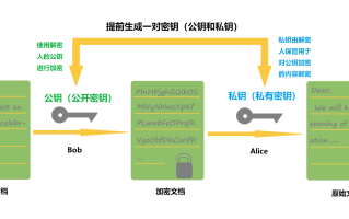 租用国外域名的价格及选择指南