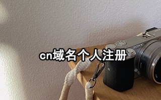 中文域名普及，网站数量与市场分析